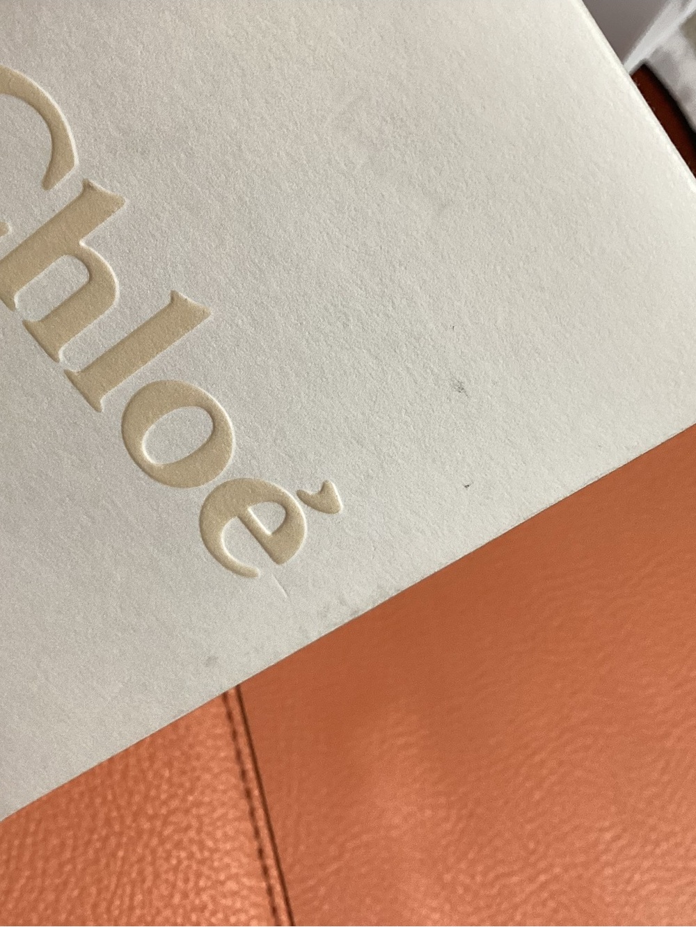 Chloe Nile bracelet crossbody purse. - Picture 13 of 16